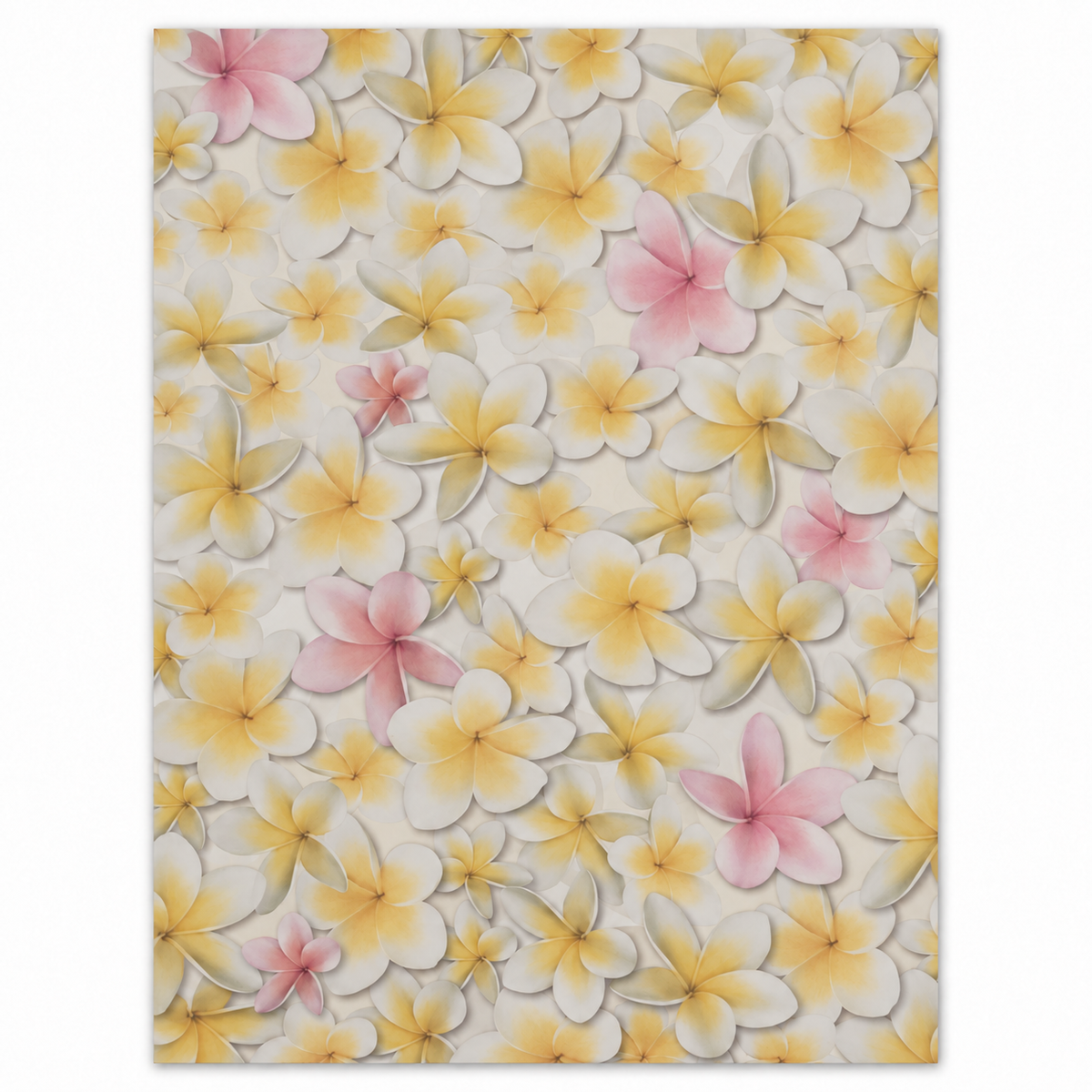 Frangipani | A4 Printed Card | 3 PK