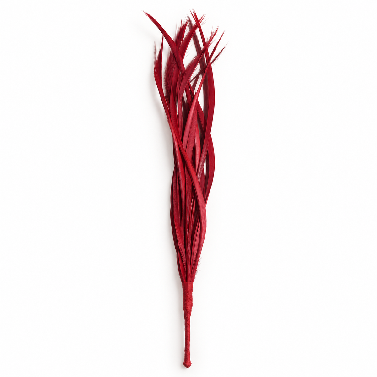 Feather Biots