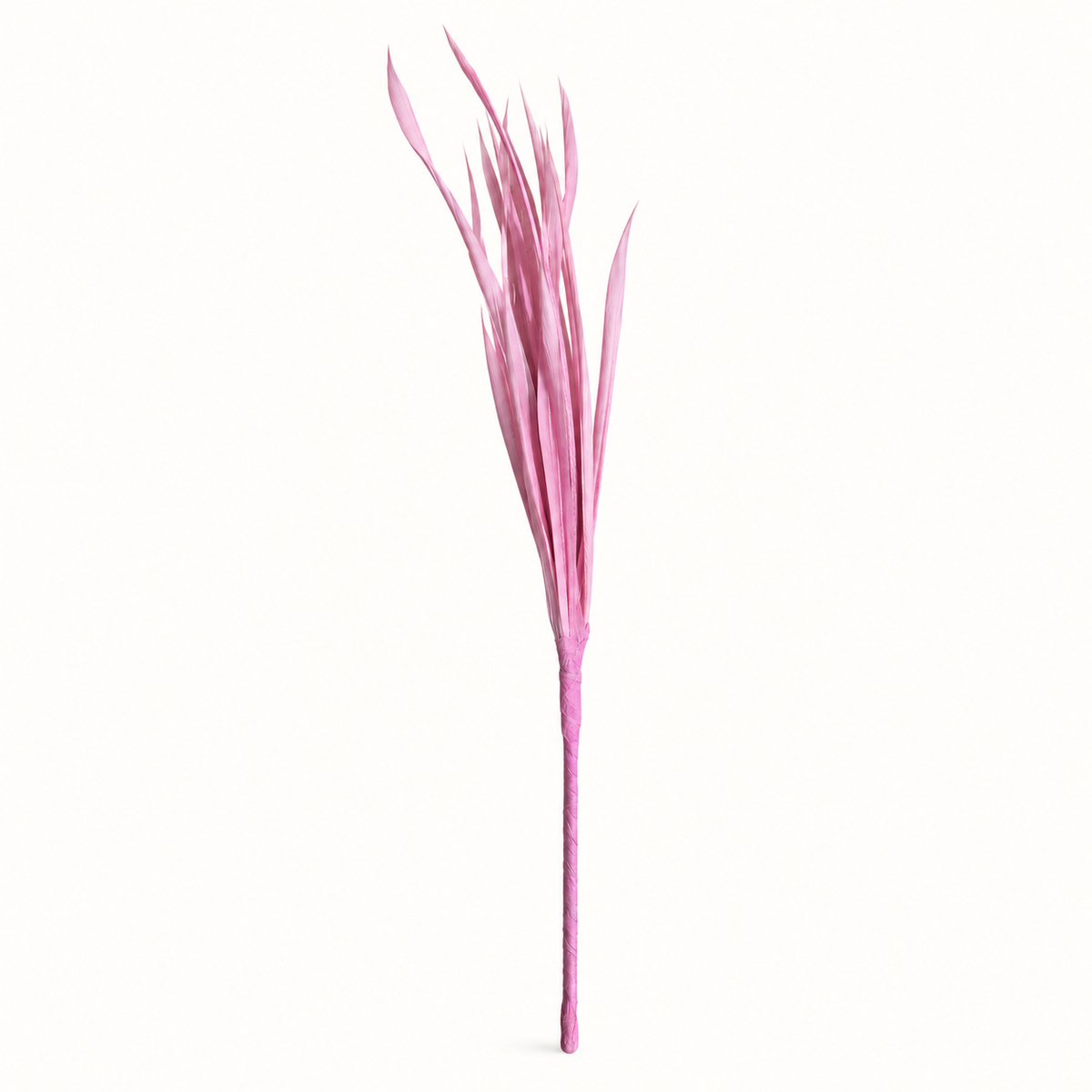 Feather Biots