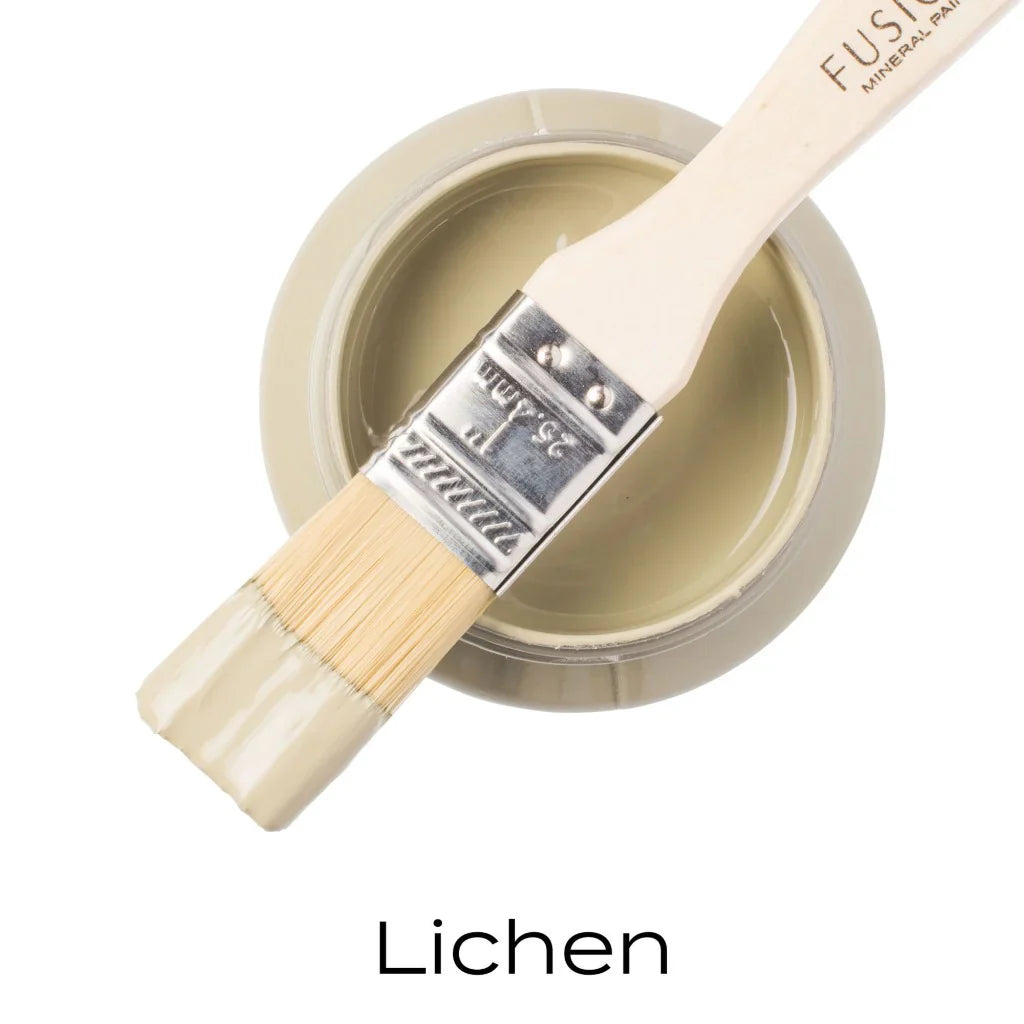 Lichen