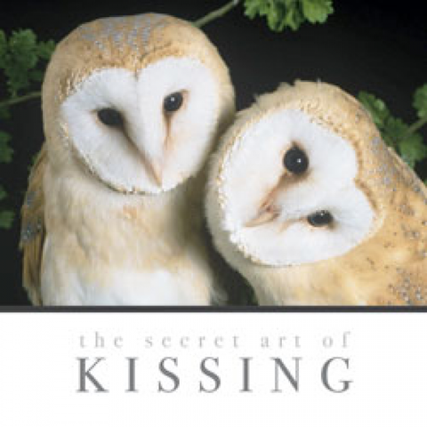 the secret of KISSING